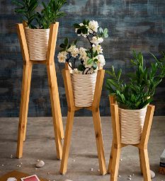 natural-finish-three-part-planter-with-ceramic-pots-by-a-tiny-mistake-natural-finish-three-part-plan-ykw9uc.jpg